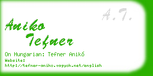 aniko tefner business card